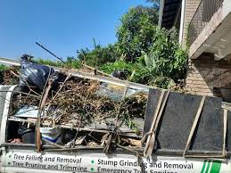 Best Electronics and E-Waste Disposal  in Syracuse, NE